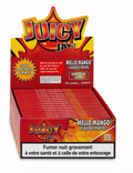 Juicy Jay King Size MANGUE TROPICAL Papiers à Rouler (24pcs/présentoir)